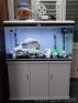 3.5 Ft Aquarium with Complete set  1.5 Years Old, Excellent condition