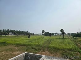 65000 Sq. ft Complex for rent in Parapalayam, Tirupur