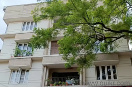 3 BHK PG Apartment for Women  in Hindustan Park, Kolkata