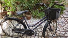 BSA Ladybird Cycle for Girls (Up to 18 Years)