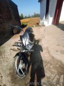 platina 100 cc black colour 2024 model 